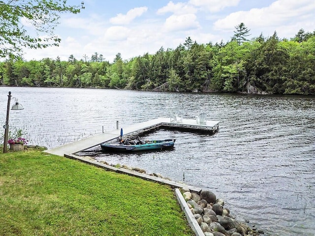 59 Lupine Dr, Belgrade, ME 04917 - dock area with a water view and a view of trees