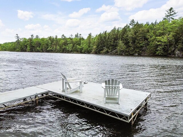 59 Lupine Dr, Belgrade, ME 04917 - dock with a water view and a forest view