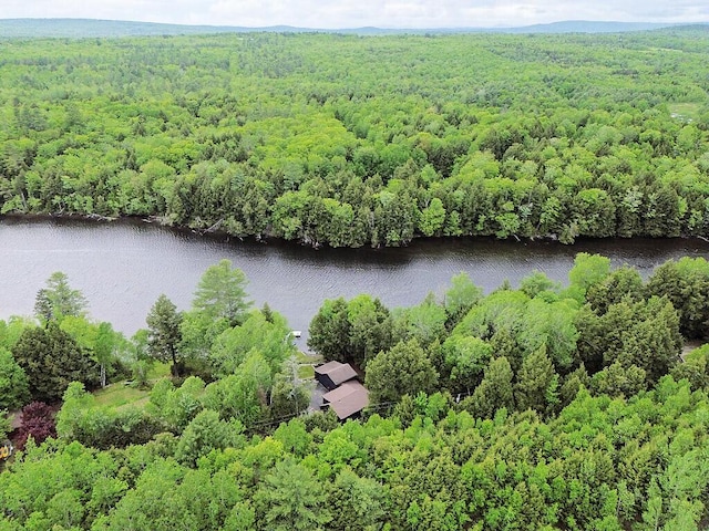59 Lupine Dr, Belgrade, ME 04917 - drone / aerial view of a forest and a nearby body of water