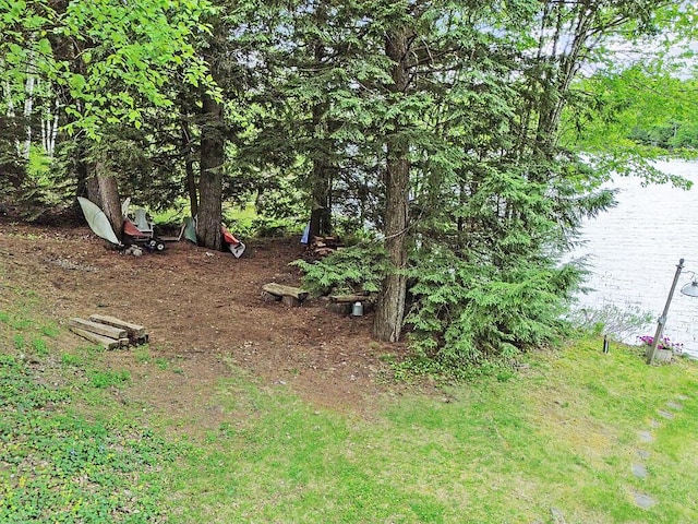 59 Lupine Dr, Belgrade, ME 04917 - view of yard with a water view
