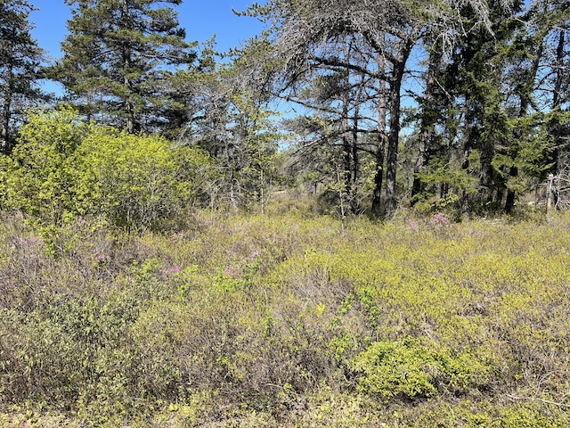 MAP30LOT4 E Schoodic Rd, Gouldsboro, ME 04607