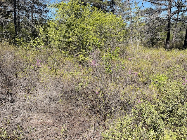 MAP30LOT4 E Schoodic Rd, Gouldsboro, ME 04607