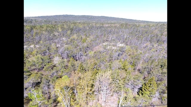MAP30LOT4 E Schoodic Rd, Gouldsboro, ME 04607