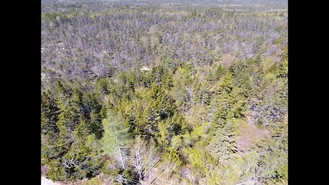 MAP30LOT4 E Schoodic Rd, Gouldsboro, ME 04607