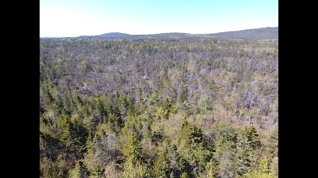 MAP30LOT4 E Schoodic Rd, Gouldsboro, ME 04607