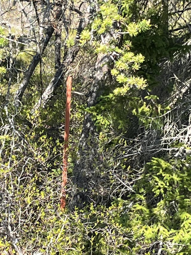 MAP30LOT4 E Schoodic Rd, Gouldsboro, ME 04607