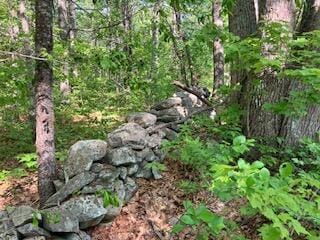 LOT34-1 Waldoboro Rd, Bremen, ME 04551