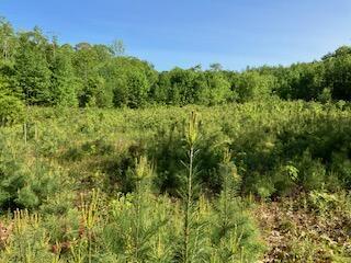 LOT34-1 Waldoboro Rd, Bremen, ME 04551