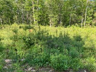 LOT34-1 Waldoboro Rd, Bremen, ME 04551