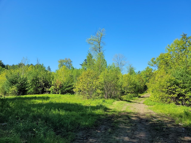 627 Waterville Rd, Skowhegan, ME 04976 - view of tree filled area