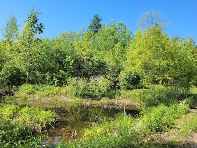 627 Waterville Rd, Skowhegan, ME 04976 - view of undeveloped land