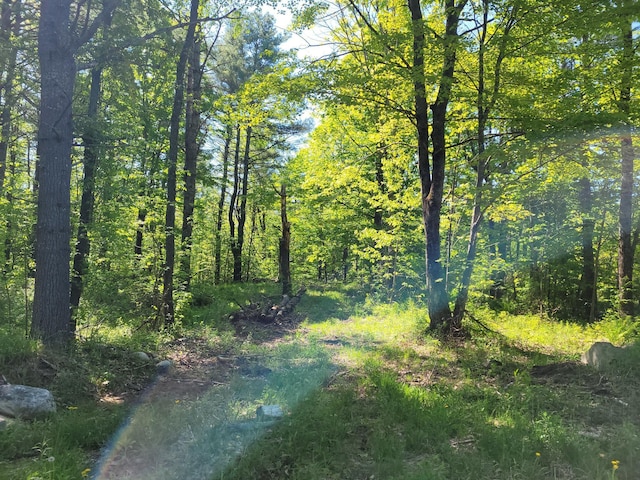 627 Waterville Rd, Skowhegan, ME 04976 - view of woods