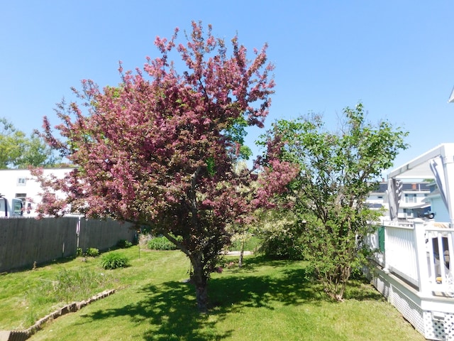 56 Allen St, Bangor, ME 04401 - view of yard