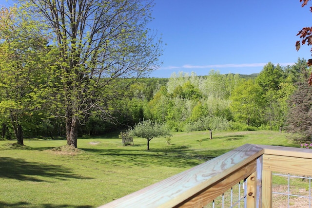 35 Harmon Notch Rd, Brownfield, ME 04010 - view of green lawn featuring a forest view