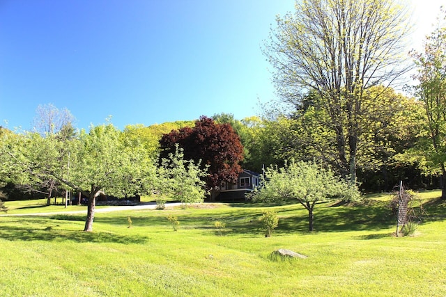 35 Harmon Notch Rd, Brownfield, ME 04010 - view of community featuring a lawn