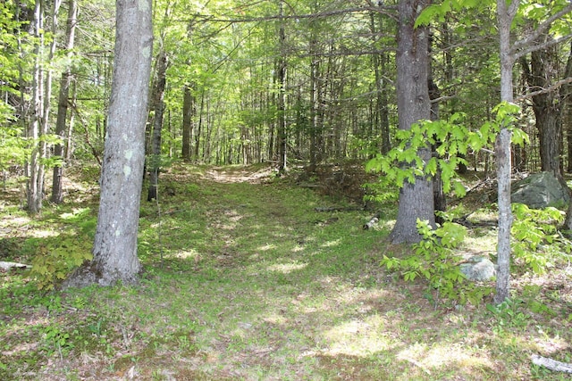 35 Harmon Notch Rd, Brownfield, ME 04010 - view of woods