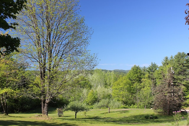 35 Harmon Notch Rd, Brownfield, ME 04010 - view of green lawn featuring a forest view