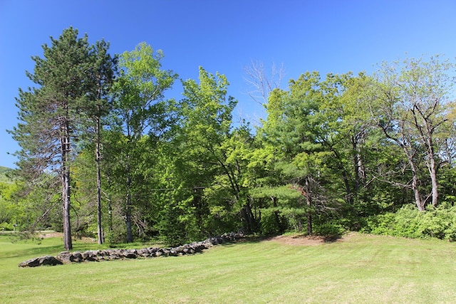 35 Harmon Notch Rd, Brownfield, ME 04010 - view of grassy yard featuring a view of trees