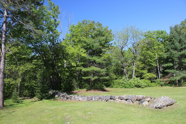 35 Harmon Notch Rd, Brownfield, ME 04010 - view of green lawn