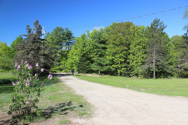 35 Harmon Notch Rd, Brownfield, ME 04010 - view of dirt / gravel road with a wooded view