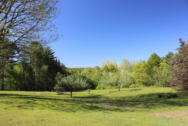 35 Harmon Notch Rd, Brownfield, ME 04010 - view of grassy yard featuring a forest view