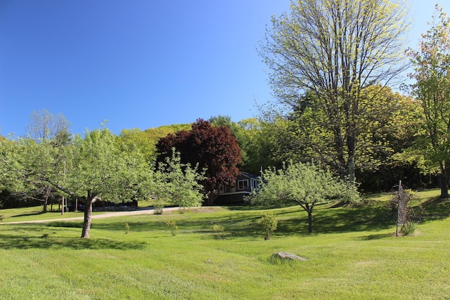 35 Harmon Notch Rd, Brownfield, ME 04010 - view of property's community featuring a lawn