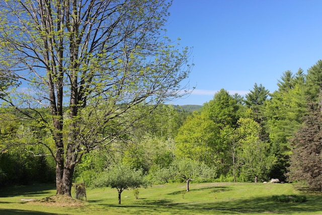 35 Harmon Notch Rd, Brownfield, ME 04010 - view of grassy yard featuring a view of trees