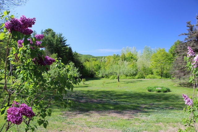 35 Harmon Notch Rd, Brownfield, ME 04010 - view of grassy yard with a view of trees