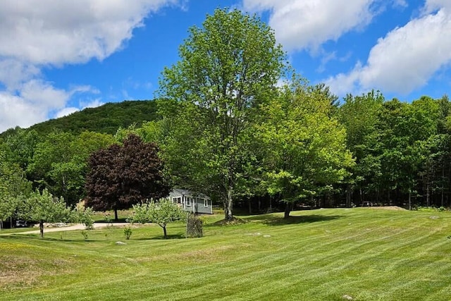 35 Harmon Notch Rd, Brownfield, ME 04010 - photo 2