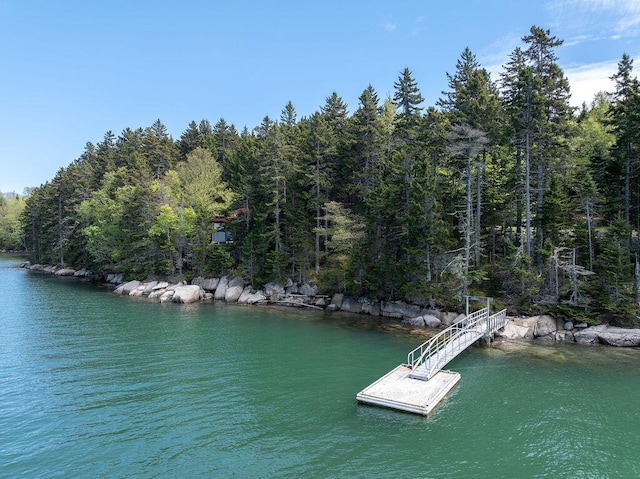 93 Eaton Point Rd, Deer Isle, ME 04627 - water view featuring a heavily wooded area and a floating dock