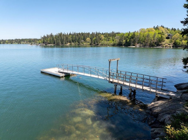 93 Eaton Point Rd, Deer Isle, ME 04627 - dock area with a water view and a wooded view