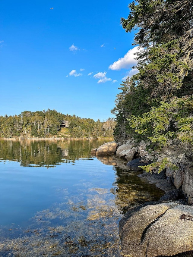 93 Eaton Point Rd, Deer Isle, ME 04627 - water view with a forest