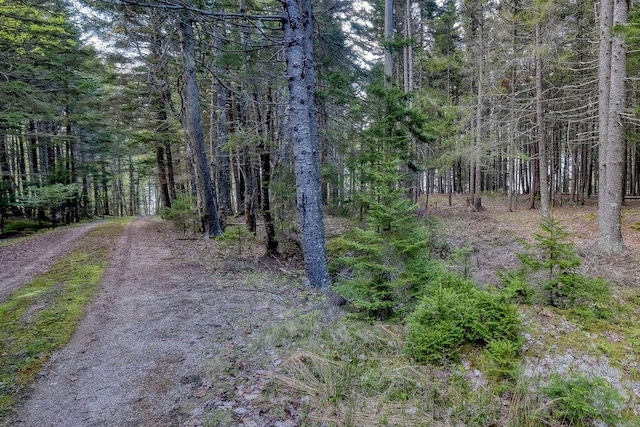 93 Eaton Point Rd, Deer Isle, ME 04627 - view of woods