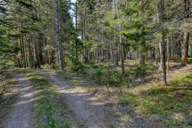 93 Eaton Point Rd, Deer Isle, ME 04627 - view of dirt / gravel road featuring a forest view