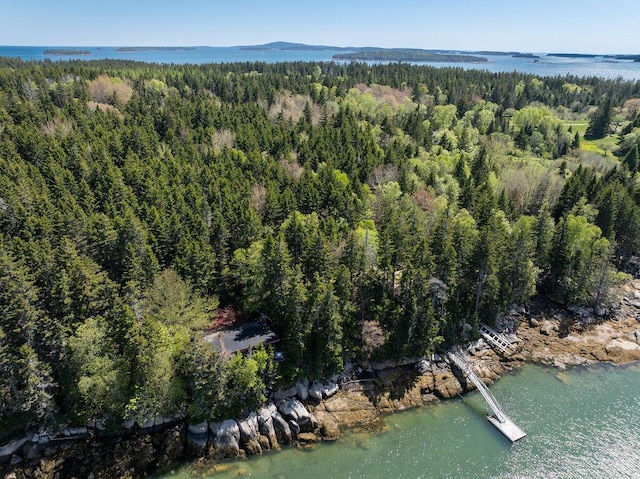 93 Eaton Point Rd, Deer Isle, ME 04627 - view of property location with a heavily wooded area and a large body of water