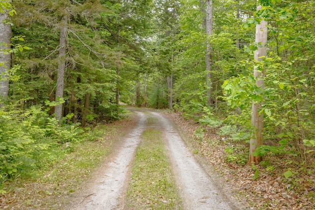 38 Johnson Cove Rd, Otis, ME 04605 - view of dirt / gravel road with a forest view