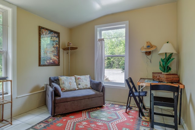 38 Johnson Cove Rd, Otis, ME 04605 - tiled home office featuring healthy amount of natural light and vaulted ceiling