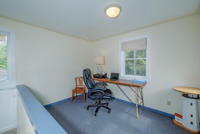 38 Johnson Cove Rd, Otis, ME 04605 - carpeted office space featuring baseboards