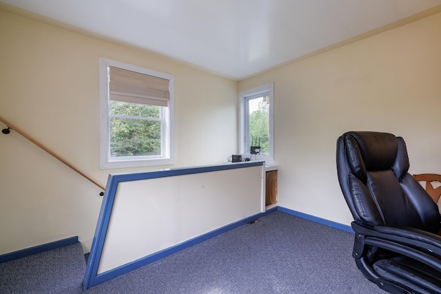 38 Johnson Cove Rd, Otis, ME 04605 - unfurnished office featuring carpet floors and plenty of natural light
