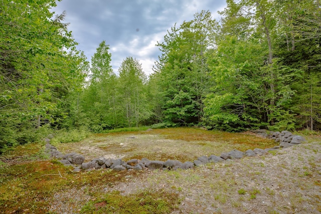 38 Johnson Cove Rd, Otis, ME 04605 - view of wooded area