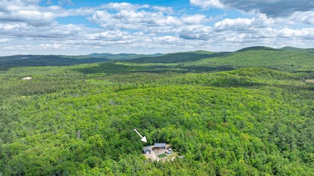 580 Spring St, Brownfield, ME 04010 - mountain view with a heavily wooded area