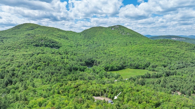 580 Spring St, Brownfield, ME 04010 - view of mountain background featuring a forest