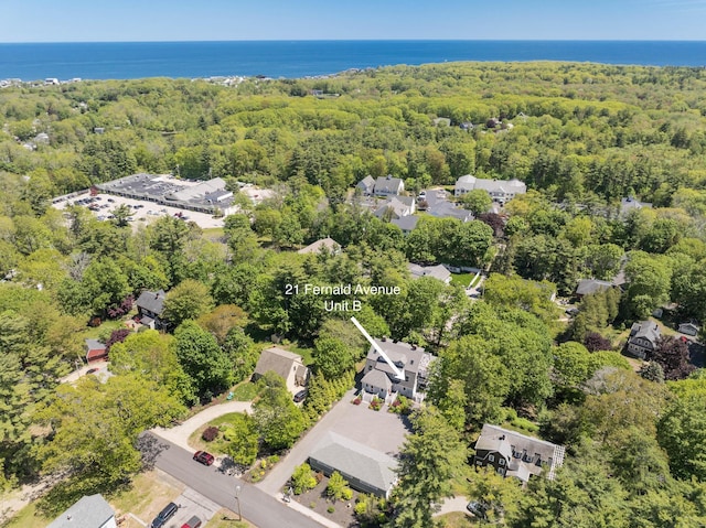 21 Fernald Ave Unit B, York, ME 03909 - aerial view of a forest and a large body of water