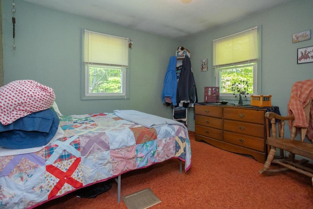 38 Greenridge Way, Jay, ME 04239 - bedroom with multiple windows and carpet floors