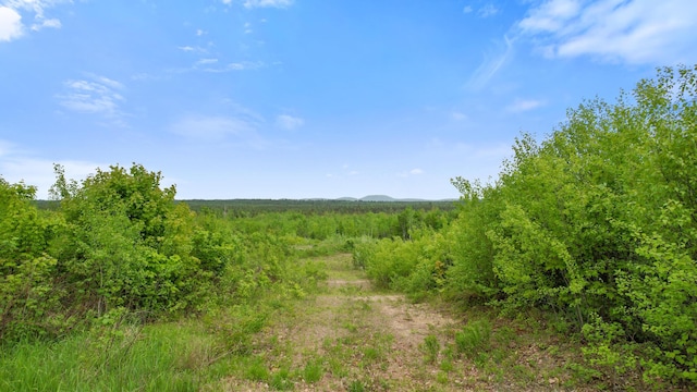 MAP8LOT10 Cardville Rd, Greenbush, ME 04418 - photo 13