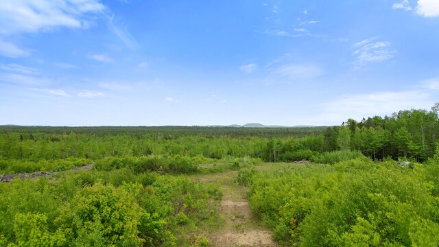 MAP8LOT10 Cardville Rd, Greenbush, ME 04418 - photo 2