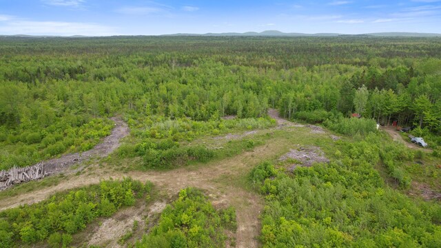 MAP8LOT10 Cardville Rd, Greenbush, ME 04418 - photo 5
