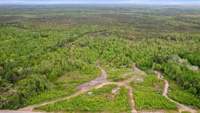 MAP8LOT10 Cardville Rd, Greenbush, ME 04418 - photo 14