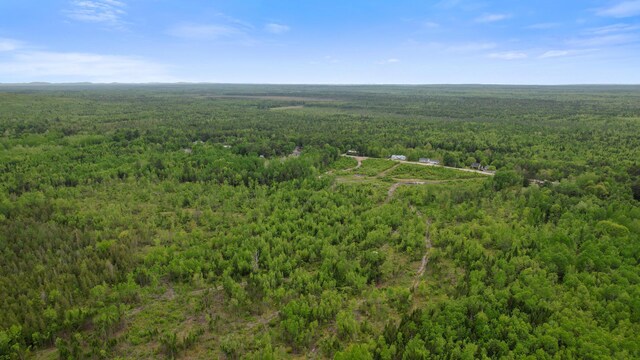 MAP8LOT10 Cardville Rd, Greenbush, ME 04418 - photo 4