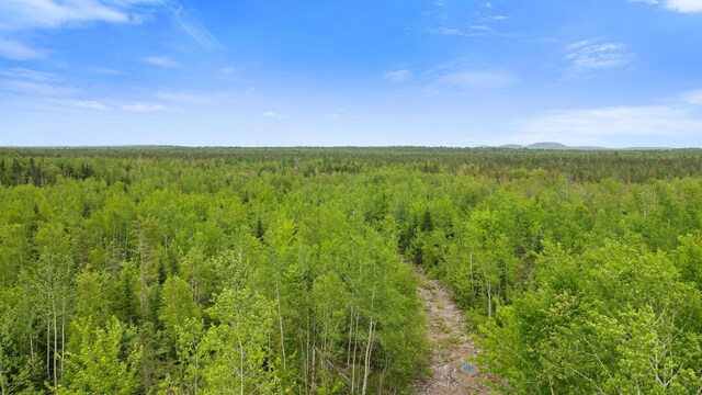 MAP8LOT10 Cardville Rd, Greenbush, ME 04418 - photo 9